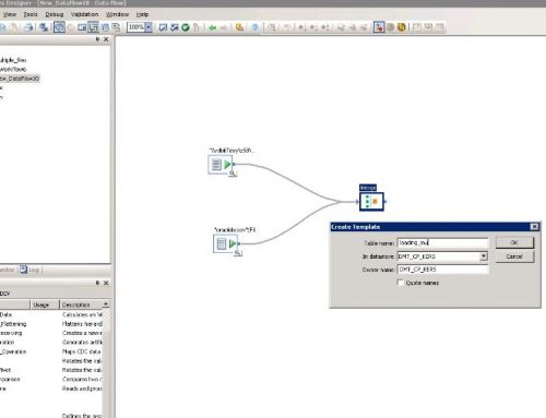 SAP BO Data Services Tutorial: loading multiple files