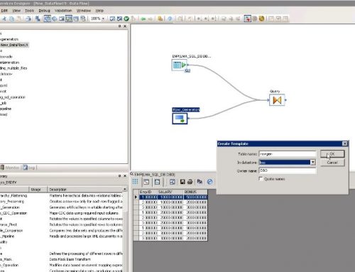 SAP BO Data Services Tutorial: Rowgen